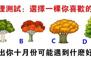  心理測試：憑直覺選一棵樹，測你十月份會遇到什麼好事！