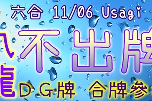 六合彩 11/06 Usagi 九龍 精選低機號碼 供您參考