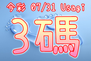 今彩539 2020/07/31 Usagi 精選3碼 全車+連碰 供您參考