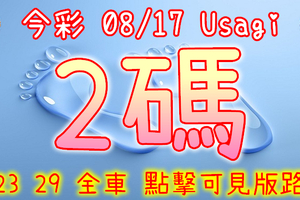 今彩539 2020/08/17 Usagi 精選2碼 全車 供您參考