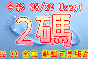 今彩539 2020/08/20 Usagi 精選2碼 全車 供您參考