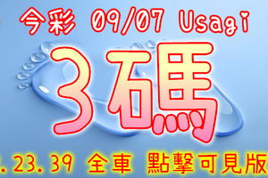 今彩539 2020/09/07 Usagi 精選3碼 全車 供您參考