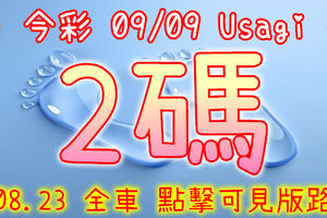 今彩539 2020/09/09 Usagi 精選2碼 全車 供您參考