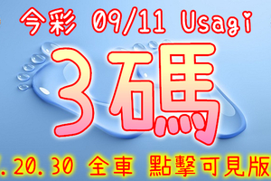 今彩539 2020/09/11 Usagi 精選3碼 全車 供您參考