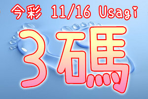 今彩539 2020/11/16 Usagi 精選3碼 全車 供您參考