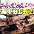 4人4小时竞标698次 两株花梨木拍出862万天价