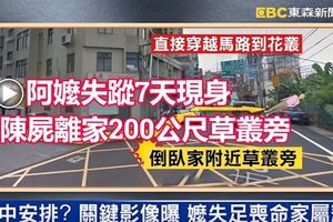 消失的阿嬤！失蹤7天現身 竟陳屍離家200公尺草叢旁 