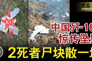 中国歼-10S惊传坠毁 2死者尸块散一地