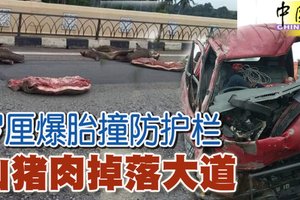 罗厘爆胎撞防护栏 山猪肉掉落大道