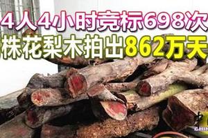 4人4小时竞标698次 两株花梨木拍出862万天价