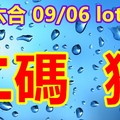 2018/09/06  lotus  香港六合彩  二碼參考
