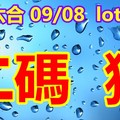 2018/09/08  lotus   香港六合   二碼全車連碰參考