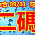 2018/09/11  花花 六合彩   二碼全車參考