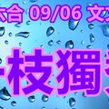 2018/09/06     香港六合彩  一枝獨秀  參考