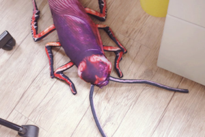 超大超噁心  --泰國模擬蟑螂枕頭-一推出瘋狂搶購