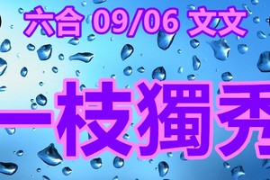 2018/09/06     香港六合彩  一枝獨秀  參考