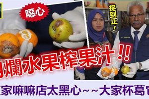 【太恶心】这家嘛嘛店太黑心，竟用烂水果榨果汁 !! 官员捉到正，再也休想抵赖～～大家齐来唱衰它杯葛它