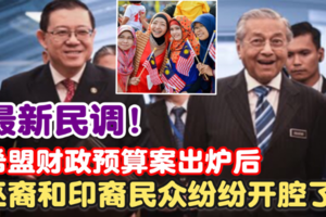 最新民调【希盟提交2019财政预算案后】可见巫裔和印裔纷纷开腔了！