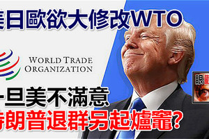 美日歐欲大修改WTO 一旦美不滿意 特朗普退群另起爐竈？