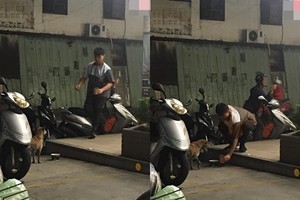 「抱膝蹲地」陪牠吃！暖店員帥慘　女網友昏：我被吸引啦