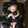 她和家中懷孕愛犬在同一天生下寶寶，於是她拍下了這些超有愛照片！