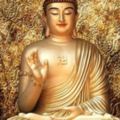 2000年前創立佛教佛祖本人都吃肉，皇帝一句話只能改吃素了