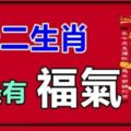 十二生肖裡是最有福氣，幸運指數非常高！