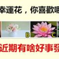 四朵幸運花，你喜歡哪朵？測你近期有啥好事發生？