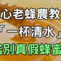 蜂蜜一定要會挑！68歲良心老蜂農教你「一杯清水」鑑別『真假蜂蜜』！