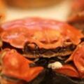秋季吃螃蟹補鈣、補血效果好，搭配蓮藕和紅茶，降膽固醇避免腹瀉