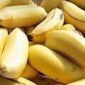 為什麼香蕉會變黑？表皮全黑的香蕉還能吃嗎？儲存香蕉有妙招