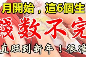 11月開始，這6個生肖意外之財進口袋，錢數不完。一直旺到新年