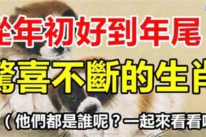 進入2018年，驚喜不斷，從年初好到年尾的四大生肖！