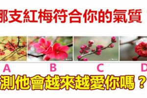 哪支紅梅符合你的氣質？測他會越來越愛你嗎？