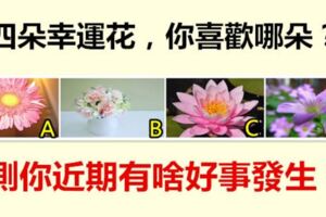 四朵幸運花，你喜歡哪朵？測你近期有啥好事發生？