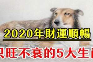 財運順暢！2020年家門興旺不衰的5生肖，正財橫財雙雙旺