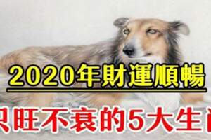 財運順暢！2020年家門興旺不衰的5生肖，正財橫財雙雙旺