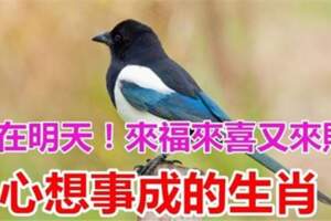 喜鵲登門來報喜，就在明天！這些生肖「來福來喜又來財」想不發達都難