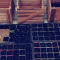 用廢舊木料做番茄種植箱