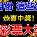 11月份，這些生肖，中彩票大獎概率是最高的！