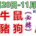 十二生肖每週運勢播報（11月20日—11月26日）