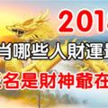 2018年：12生肖哪些人財運最好？前三名簡直就是財神爺在世！