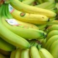 每天吃一根煮熟的香蕉，身體會收穫哪些好處？終於有人說出來了