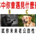 心理測試：森林中你會遇見什麼動物，測試你未來老公的性格？