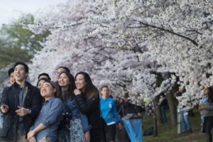 美國CNN：盤點影響全球流行文化的14項日本發明(圖14張)