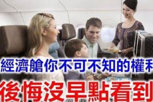 出國旅遊坐「經濟艙」！你不可不知的權利....後悔沒早點知道啊！！