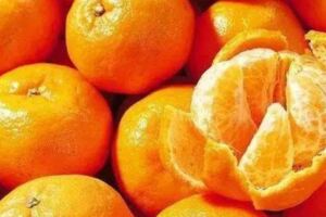 蜜橘和柚子，補充維生素C誰更好一些？營養師：都不如吃冬棗