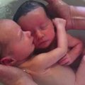 这对双胞胎以为自己还在妈妈的肚子内，结果两人的互动，太暖心了啊!