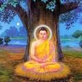 讓我們聆聽佛陀最後的教誨，感悟佛陀的大智慧。