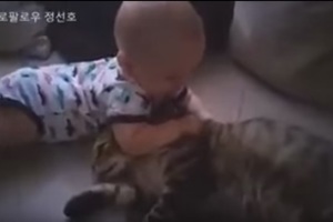 小婴儿咬了这只猫咪，结果猫咪的反击让所有人都Oh~了一声!